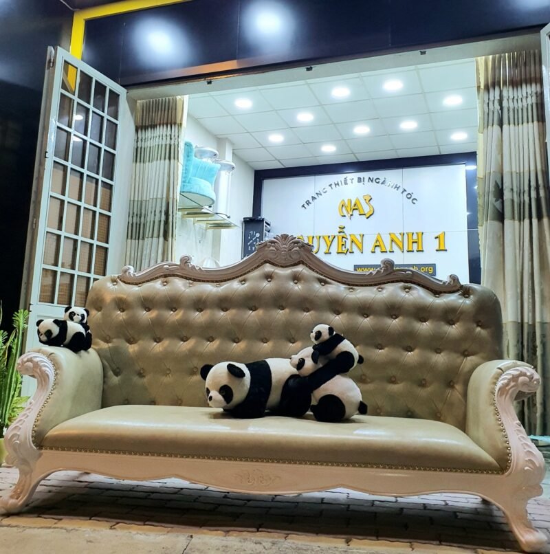 ghe sofa nguyen anh